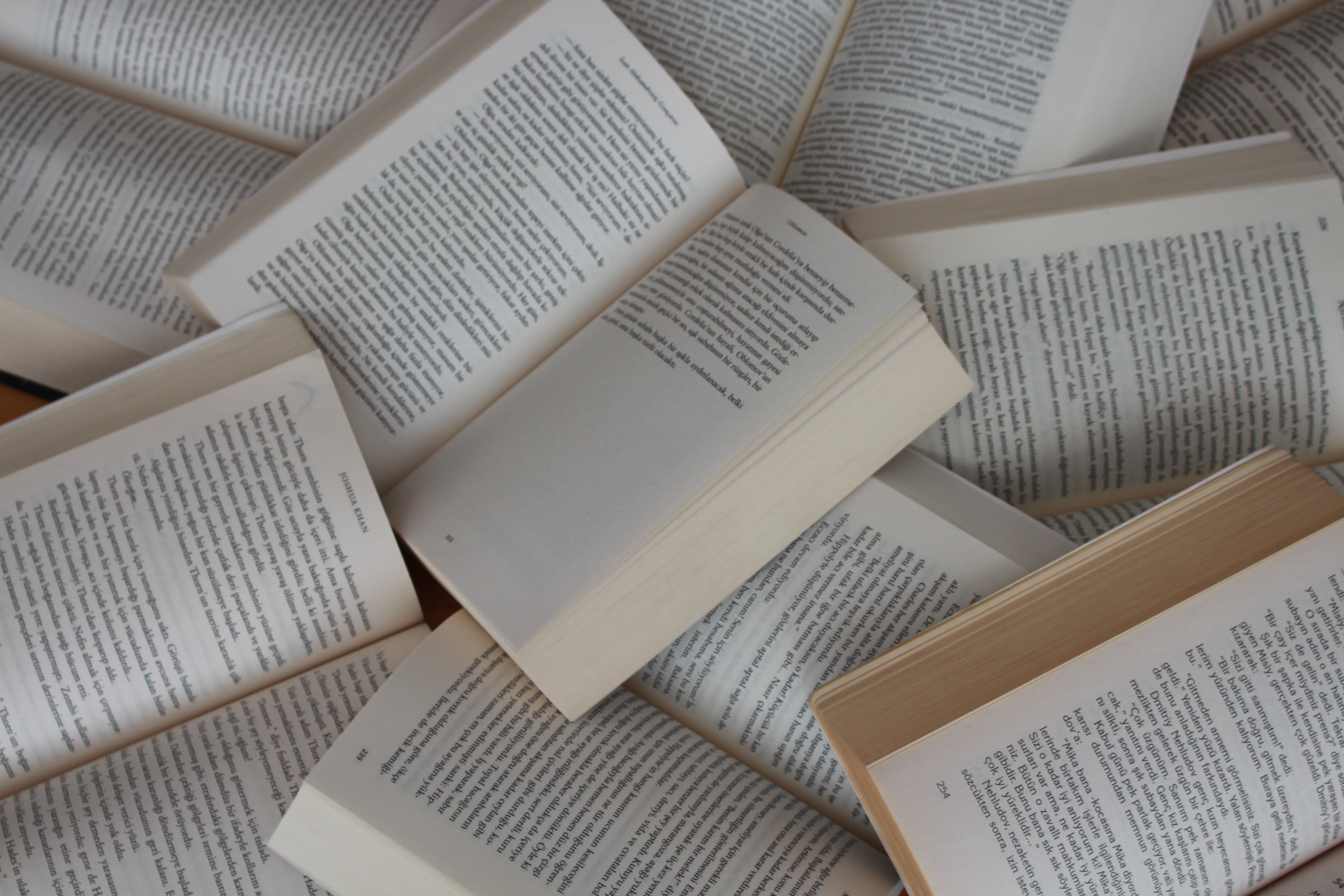 Раскрытые книги